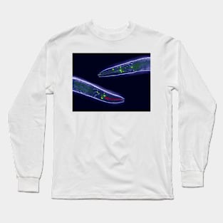 Caenorhabditis elegans (C011/1388) Long Sleeve T-Shirt